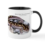 CafePress Spotted Salamander Mug