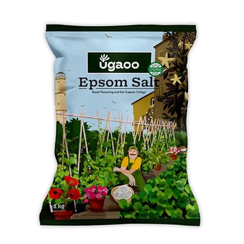 Ugaoo Epsom Salt for Plants 1 Kg | Magnesium Sulphate Fertilizer ...