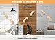 2er-Pack Katzentreppe Wand, Kletterwand für Katzen, Katzenleiter mit Juteseil, Wandmontage Katzenmöbel DIY Kletterwand Katzen
