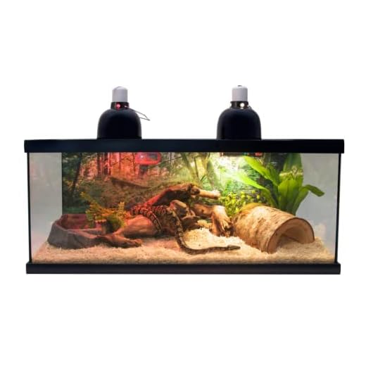 Zoo Med Laboratories SZMNTS21 Reptihabitat 20 Long Snake Starter Kit