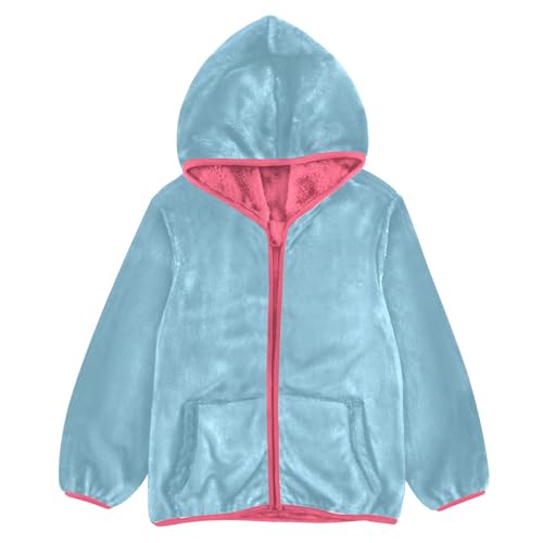 GuoChe Light Blue Sherpa Jacket