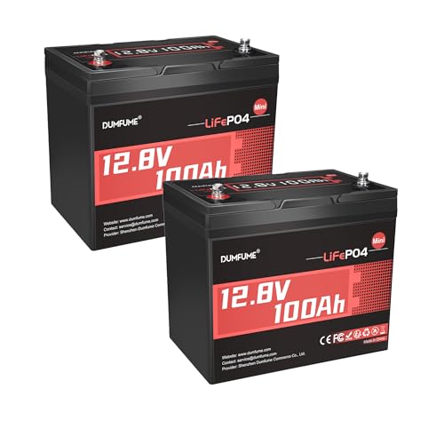 Image of 2 Pack 12V 100Ah Mini LiFePO4 Battery, Built-in 100A BMS,1280Wh Deep Cycle Rechargeable Lithium Battery 6000+ Cycles 10-Year Lifespan for RV, Solar, Off-Grid and Home Energy Storage