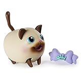 Chubby Puppies & Friends, Siamese Cat (Colors and Styles Vary)