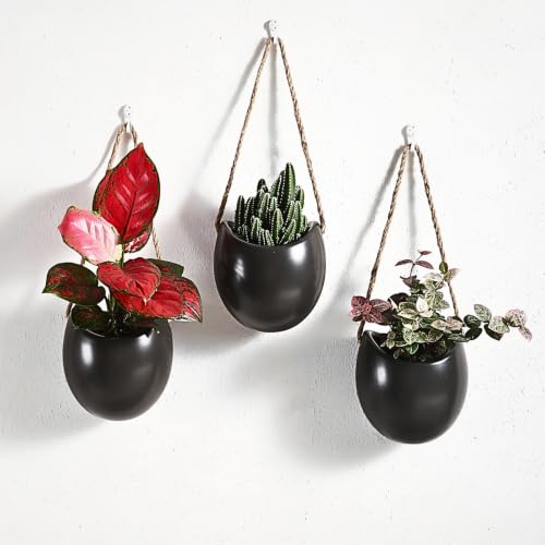 Set of 3 Ceramic Wall Planters Decor Small Hanging Vases Lovely Flower Pots