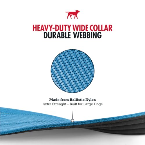 Image of Tuff Pupper Heavy Duty Tactical Dog Collar | 1.5 inch Wide Ballistic Nylon | Reflective Stitching | Integrated ID Tag Holder | Stainless Steel Buckle | Padded Lining | Medium & Large Dogs (Teal, Medium)