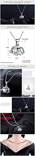 Zhiwen 925 Sterling Silver Chinese Zodiac Amulet Pendant Necklace Various Animals, Men And Women Charm Necklace Gifts (Pig) #TOP7