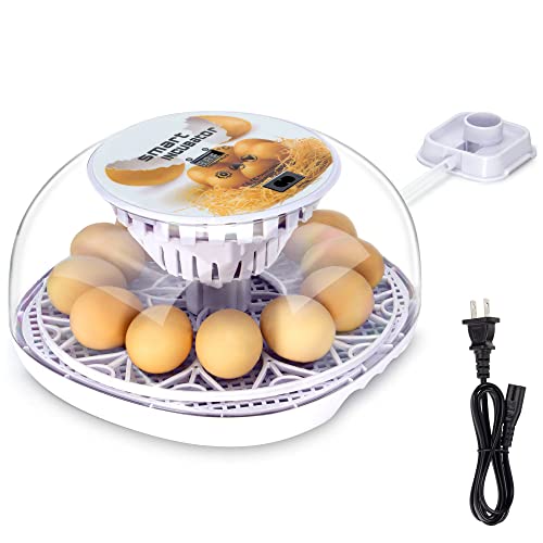 10 Best Small Chicken Egg Incubators for a Perfect Hatch! Furry Folly