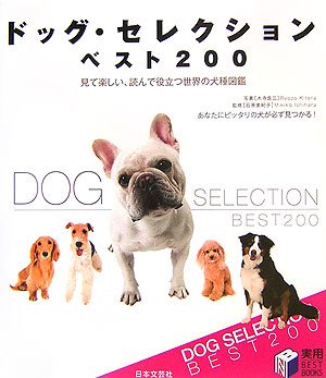 〇Fb左1030 Technics ブルドッグ ヘッドホン犬 4体まとめ 41HBSO43BcL.jpg