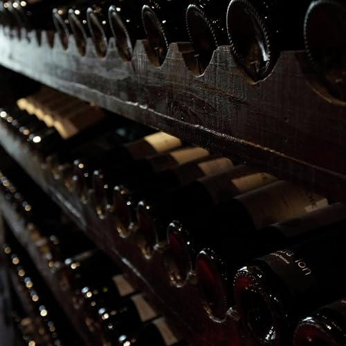 Wine cellars 101! cover art