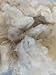 1 lb Wool Stuffing raw Washed Sheep Short Natural Fiber noil w/Debris for Filling Pillow Cushion Toys Dryer Balls Dolls Felting Batting Blending Needle Crafts core Wool Insulation.