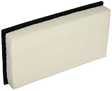 Premium Guard PA5301 Air Filter