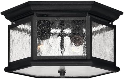 Hinkley Edgewater Small Outdoor Flush Mount Ceiling Light, Aluminum, Clear Seedy Glass, Traditional, Black Finish