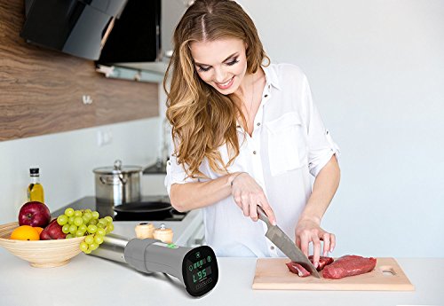Sous Vide Immersion Circulator Cooker | UPGRADED - Only machine with DELAY-START Timer | Simplest to use & clean, set & go out of the box | BONUS Velvet Storage Sleeve & e-Recipe Book FREE - Thumbnail 7