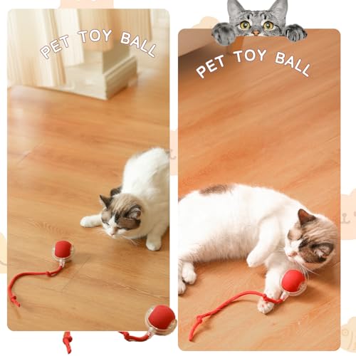 Chewie Rolling Ball, Interactive Cat Toys Rolling Ball, Hundespielzeug Unzerstörbar, Interaktives Hunde Balls Spielzeug mit USB Aufladbar, Smart Automatisch Rollender Balls für Kleine, Mittlere Hunde
