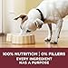 Purina ONE True Instinct Tender Cuts in Gravy With Real Turkey and Venison, and With Real Chicken and Duck High Protein Wet Dog Food Variety Pack - (Pack of 12) 13 oz. Cans