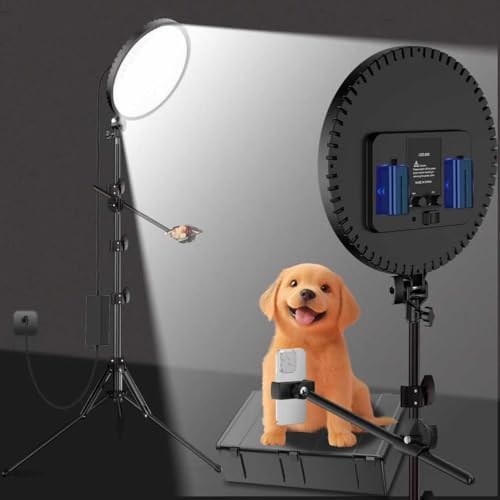 Large Barber Light with72 inch Stand, 55W 6500K Full-Screen Selfie