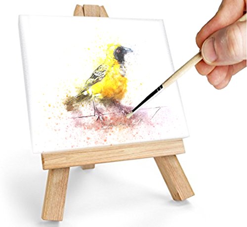 Daveliou Mini Canvas Painting Set Includes 6 Mini Canvases for Painting, 2 Paint Brushes, a Mini Painting Easel, and 6 Non Toxic Acrylic Paints for Beginners and Professionals (15-Piece Set)