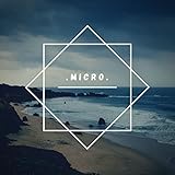 Micro