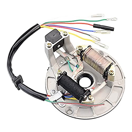Statore Di Accensione 2 Bobine Per Motori 50cc-125cc 4 Tempi - Piastra Magnetica Per ATV, Dirt Bike, Quad E Go Kart Cinesi - 6 Fili