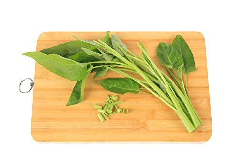 200+ Seeds Water Spinach Kangkong Delicious Green Leaf Vegetable Yard Garden Plant #TOP3