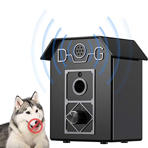 how to stop dog barking at cat