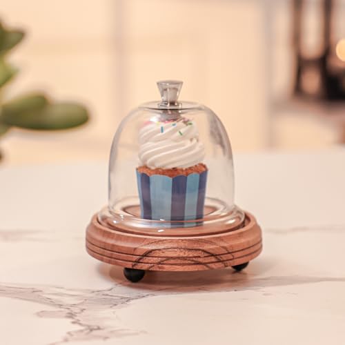 Image of Candy Glow Acacia Wood Cake Stand with Glass Dome - Wooden Cake Display Stand with Glass Cloche, Dessert & Cupcake Stand for Birthday & Celebrations