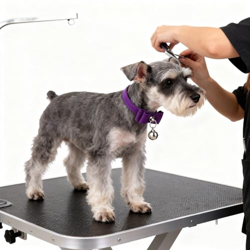 Image of Adjustable Pet Kitten Cat Safety Collar Bell Buckle Neck (Purple), Velvet, (Pack Of 1),27 Cm