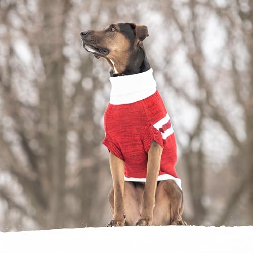 Pull de randonnée GF Pet rouge XS pour balade en forêt