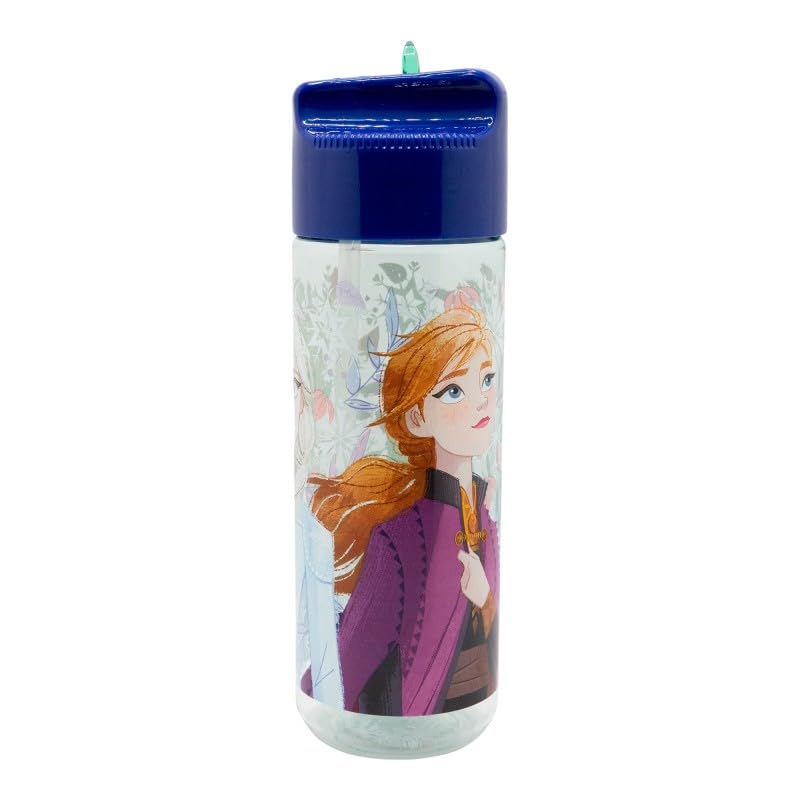 Image of STRIDERS LARGE ECOZEN BOTTLE FROZEN SHOWY TALE 540 ML
