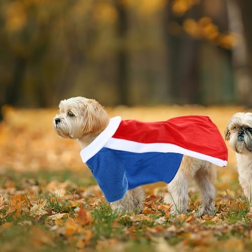 Disfraz para perro Halloween talla L rojo miniatura 6
