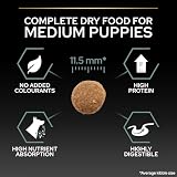 PURINA PRO PLAN | Czułe trawienie | Kompletne karma dla średnich szczeniąt | Promuje zdrowy układ trawienny | Bogata w jagnięcinę | Karma | Torba 3 kg