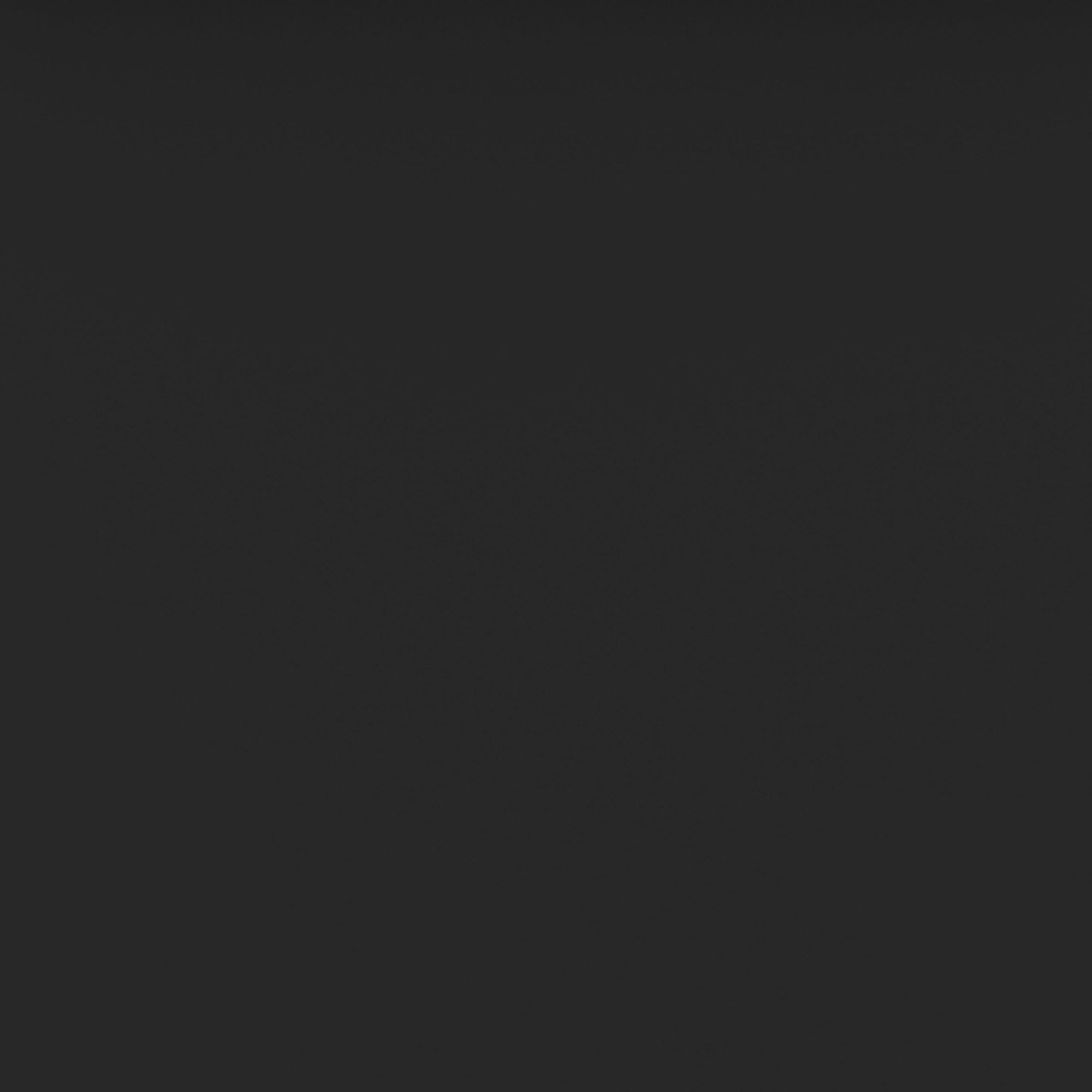 Walker Edison Twin Roll-Out Trundle Bed Frame only with Wheels, Black