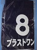 第６３回 有馬記念 GⅠ 優勝 ブラストワンピース ゼッケンタオル 71×100センチ 中山競馬場 JRA 池添謙一 競馬