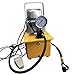 Produktbild BTdahong 700Bar Elektrische Hydraulikpumpe Elektrohydraulikpumpe + Manuelle Ventil Einzel-wirkende Hydraulikaggregat + 1.8m Ölschlauch 750W 7L, 1400r/Min