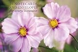 Card Box of 20 Notecards and Envelopes: Pink Cosmos: A delightful pack of high-quality flower gift cards and decorative envelopes.