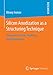 Silicon Anodization as a Structuring Technique: Literature Review, Modeling and Experiments