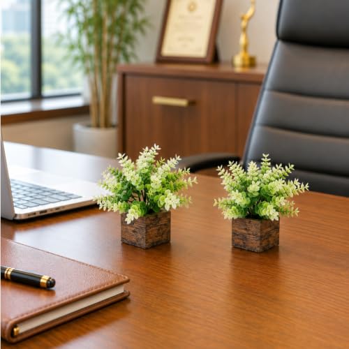 Image of DecoreBugs Artificial Eucalyptus Plant with Plastic Pot (Pack of 2) | 12 cm Height | Mini Potted Plants for Shelf Decor, Home, Office, Living Room, Desk & Table Item Decoration