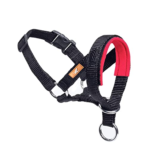 Dog Head Collar, Padded, Prevents Pulling, Red, L