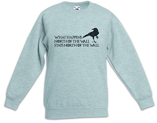 Sweat-shirt enfant garçon et fille à col rond pullover imprimé chaud