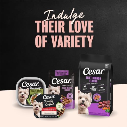 Cesar Small Breed Dry Dog Food, Filet Mignon & Spring Vegetable, 5 lb - image 9
