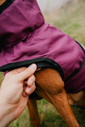 Danish Design 3-in-1-Hundemantel, 33 cm, für jedes Wetter, mit Fleece gefüttert, reflektierender Regenmantel für Hunde, Pflaume
