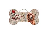 setter irlandais a donner Matière: bois + corde udc PEC As de Coeur, Plaque en Bois avec Corde - Setter Irlandais
