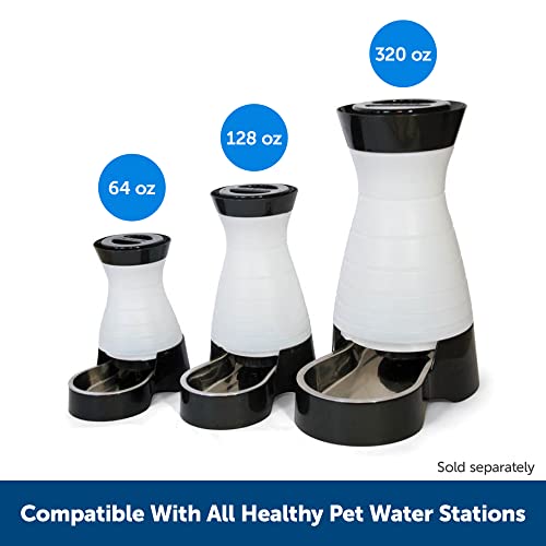 PetSafe Healthy Pet Water Filter, For Healthy Pet Water Station for Dogs and Cats, 2 Pack
