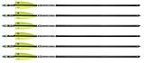 TenPoint EVO-X CenterPunch Carbon Arrows, 20', w/ Alpha-Nocks .001', color may vary.