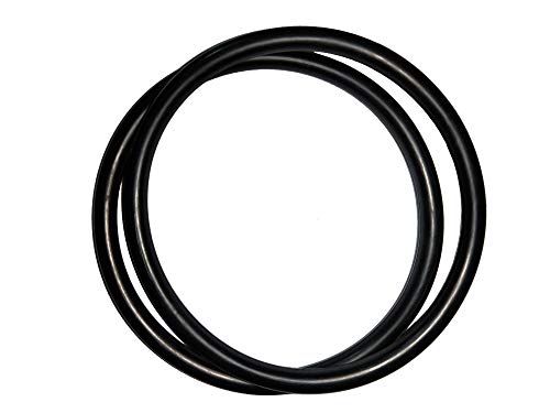 R172009 O-Ring For Pentair Model 320/322 Pool and Spa Chlorinator Lid (2/ Pack)