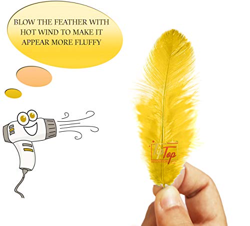Image of TIPTOP DECORATION Natural Dyed Feathers 10 cm (80 pieces) (Dark Yellow)