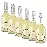 SUPER OFFERTA Spumante Spumante Brut - Pacco da 6 x 750 ml