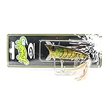 オーエスピー ＬＯＵＤＥＲ６０モエビＶｅｒ．２