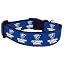 Georgia State