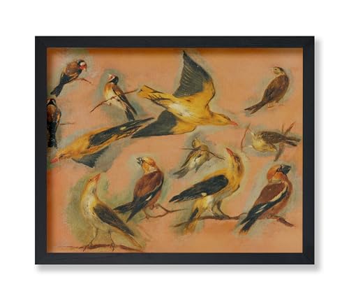 Poster Master Vintage European Goldfinch Painting Poster - Retro Carduelis